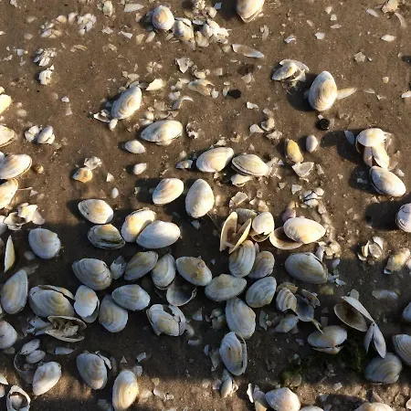 Apartament Haus Vicus Greifswald