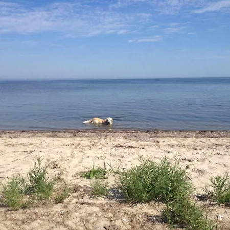 Haus Vicus * Greifswald