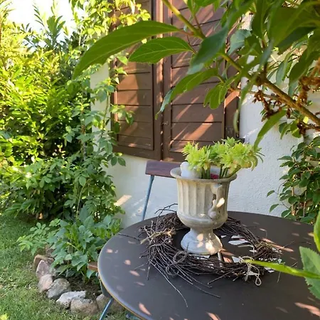 Apartment Haus Vicus *