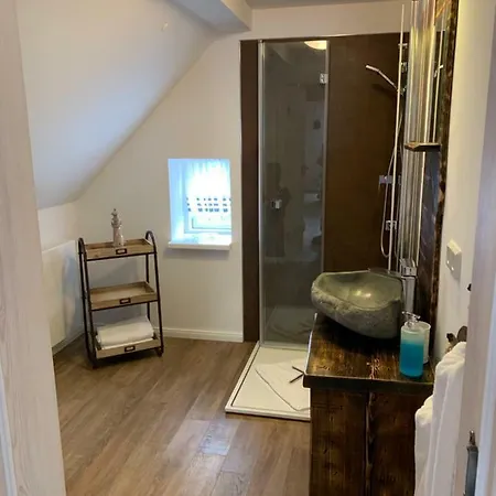 Haus Vicus Apartament *