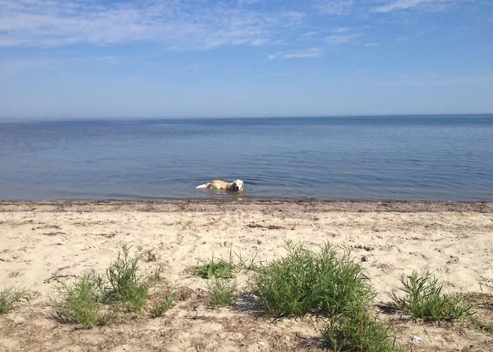 Haus Vicus * גרייפסוואלד